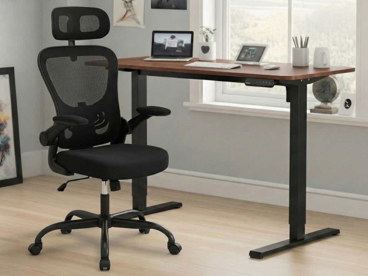 Height Adjustable Desk Set LK walnut Black & Molina Mesh Task Chair Black+Black