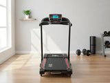 Multifunction Electric Treadmill - 42 cm