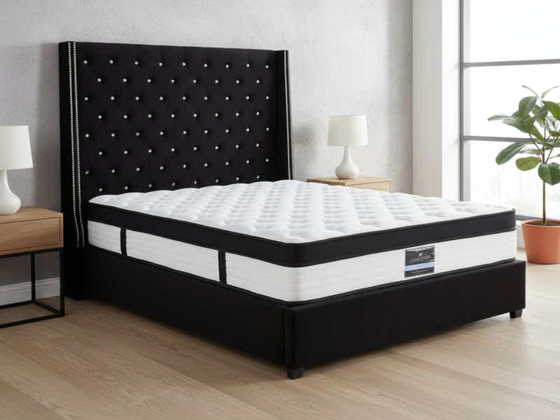 Aria Velvet Bed Frame Black & Euro Top Mattress G31 - Queen (Combo)
