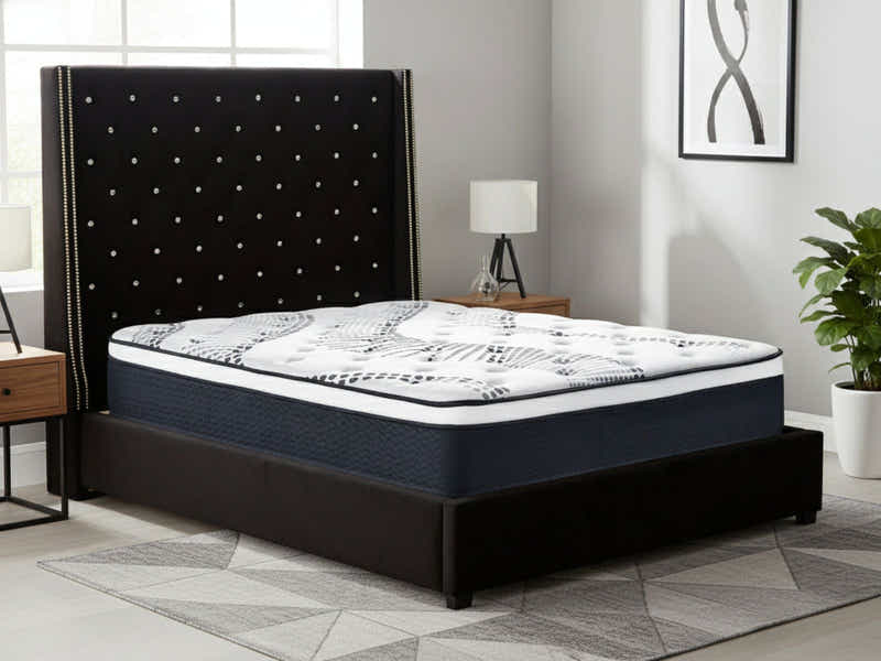 Aria Velvet Bed Frame Black & Euro Top Mattress J32 - Queen (Combo)