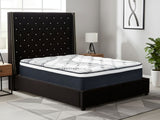 Aria Velvet Bed Frame Black & Euro Top Mattress J32 - Queen (Combo)