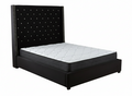 Aria Velvet Bed Frame Black & Xclusive Pocket Spring Mattress X20 Queen