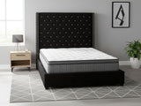 Aria Velvet Bed Frame Black & FIRM23 Mattress – Queen (Combo)