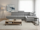 Briz Liene Sectional Sofa - Grey