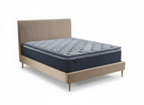 Fenix Velvet Bed Frame Brown & Euro Top Mattress B34 - Queen
