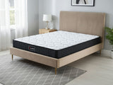 Fenix Velvet Bed Frame Brown & Xclusive Pocket Spring Mattress X20 Queen (Combo)