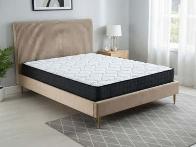 Fenix Velvet Bed Frame Brown & Xclusive Pocket Spring Mattress X20 Queen