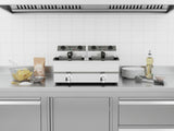 Twin Tank Electric Fryer with Dual Oil Taps