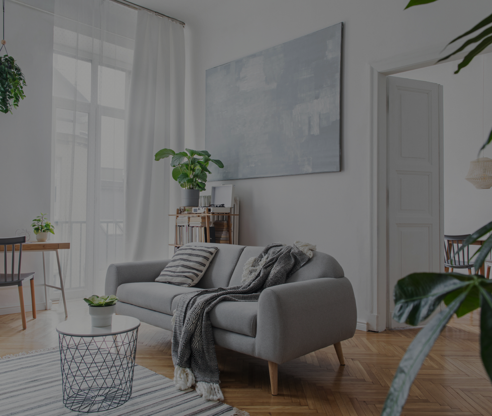 tsb-living-image-banner