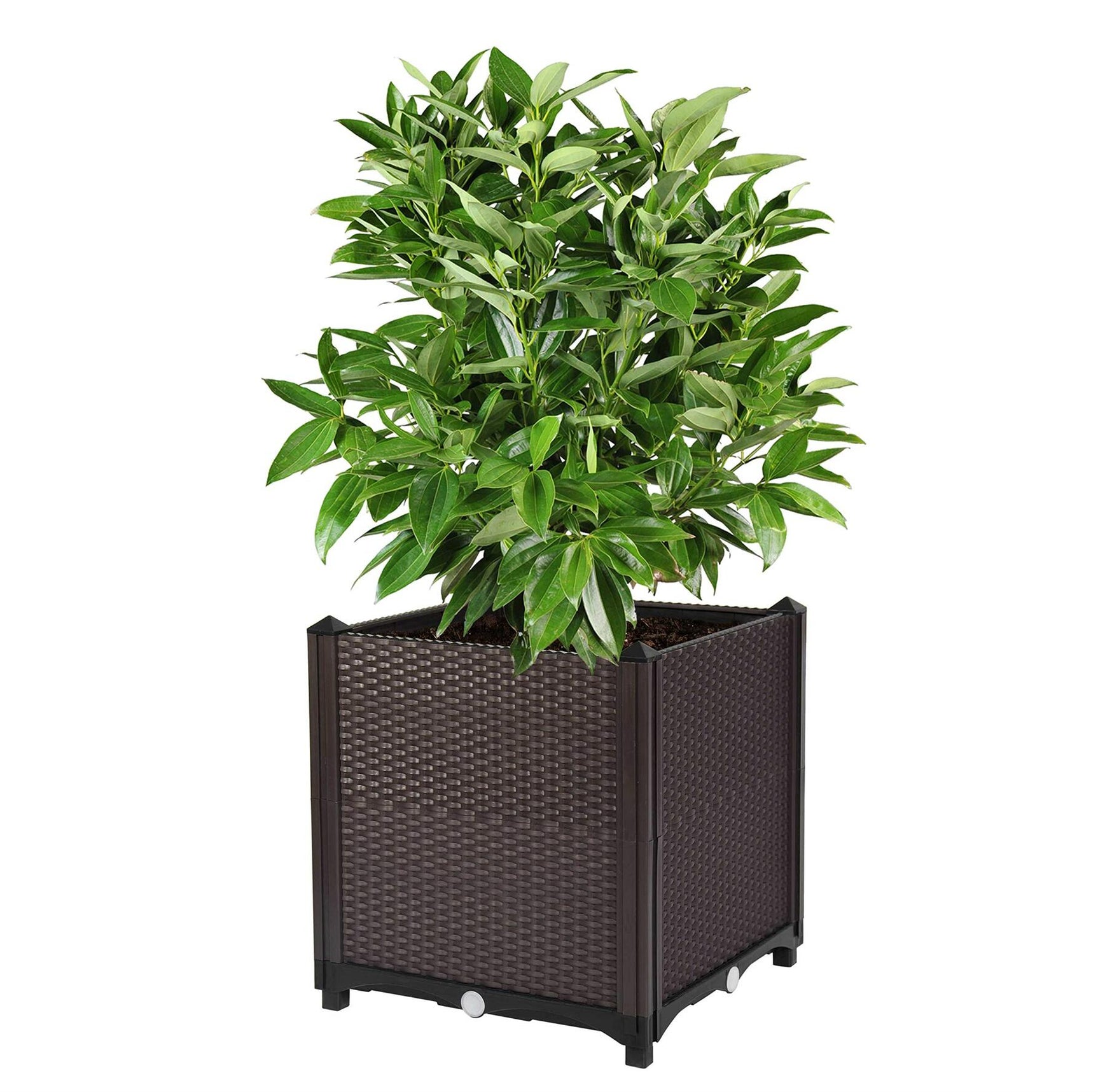 DS BS Outdoor Backyard Patio Garden Instant Planter Box Garden Bed 2 Pack