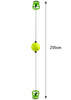 DS BS Adjustable Height Boxing Quick Puncher Reflex Ball