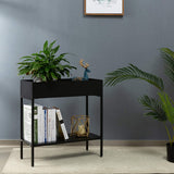 DS BS 2 Tier Metal Plant Stand Displaying Shelf-Black