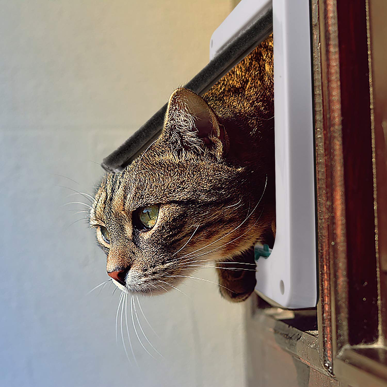 DS BS Cat Flap Door Magnetic Pet Door with 4 Way Lock L