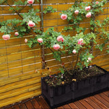 DS BS Outdoor Backyard Patio Garden Instant Planter Box Garden Bed 2 Pack