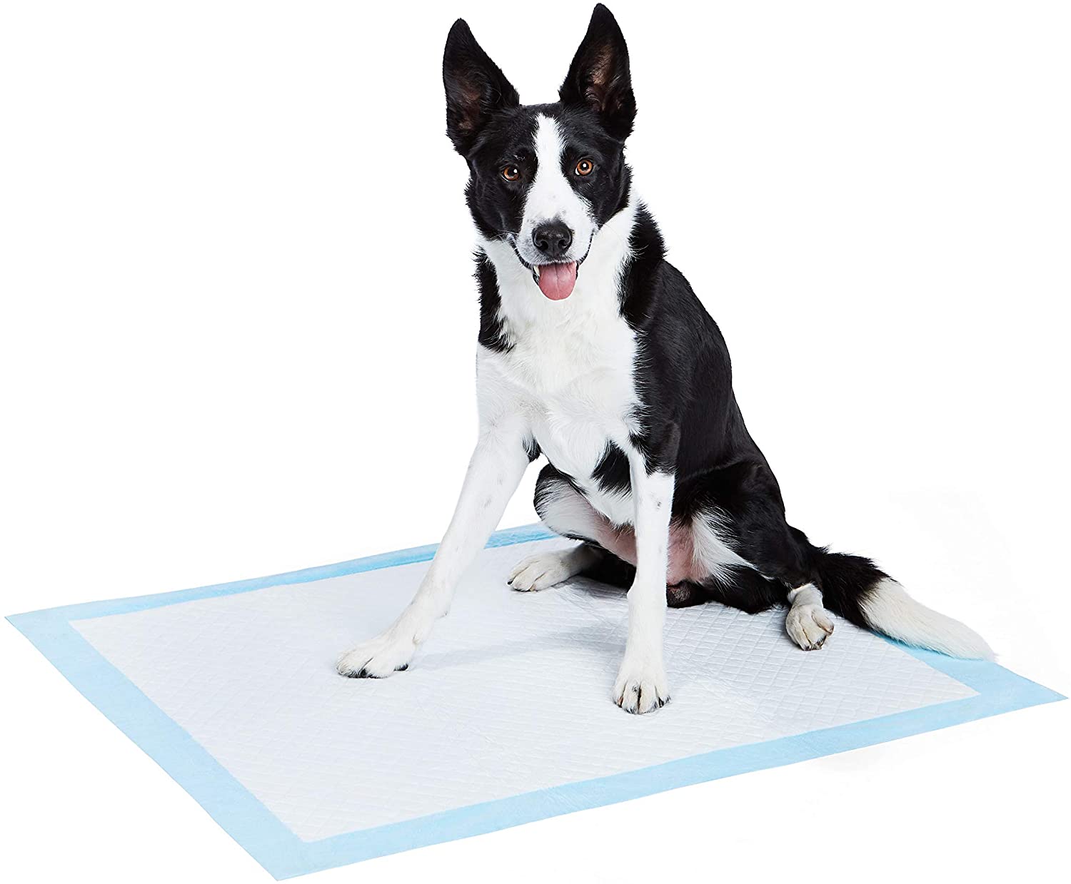 DS BS Dog and Puppy Potty Training Pads 45 x 60cm 50pc