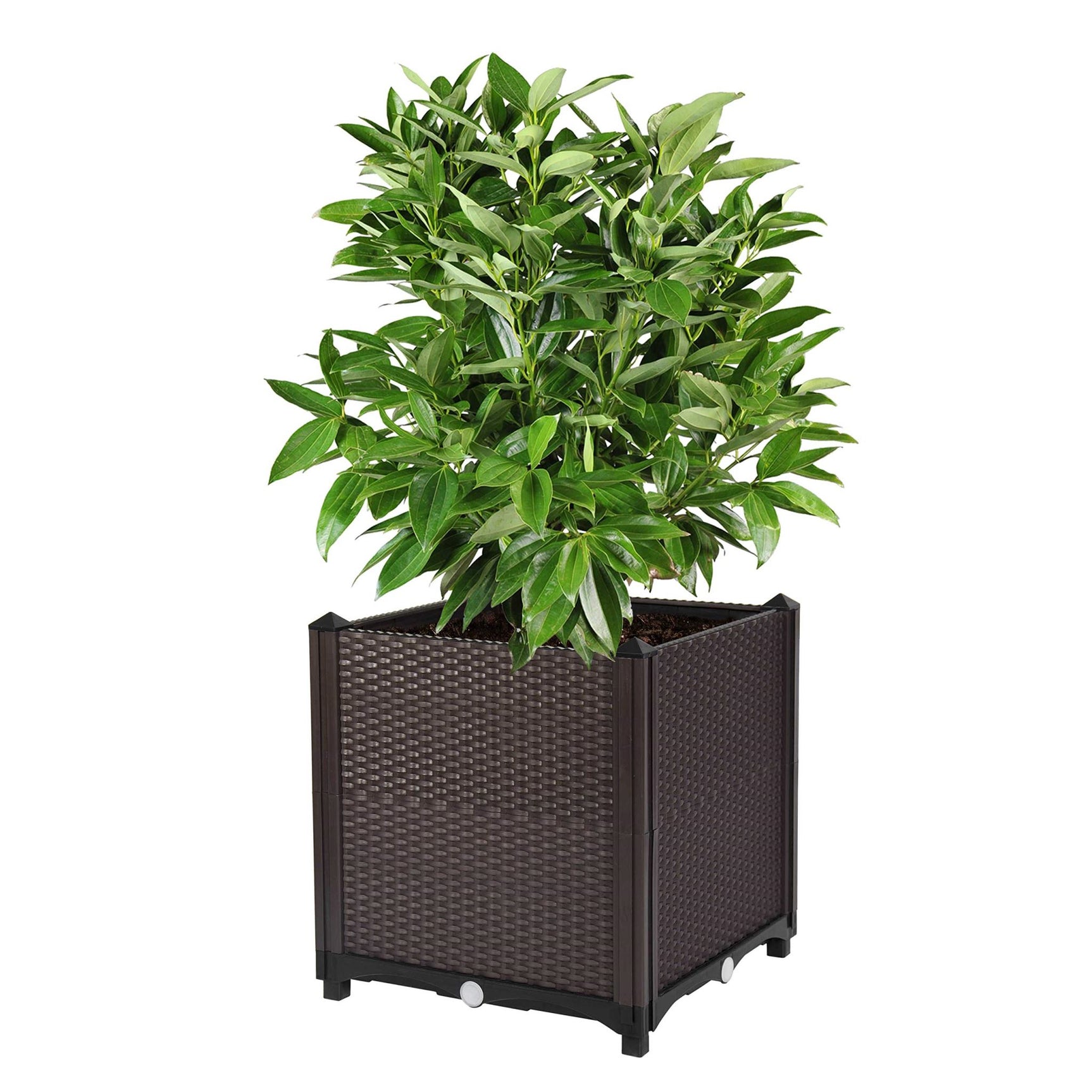 DS BS Outdoor Backyard Patio Garden Instant Planter Box Garden Bed 2 Pack