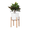 DS BS Modern Flower Pot with Display Potted Rack-White