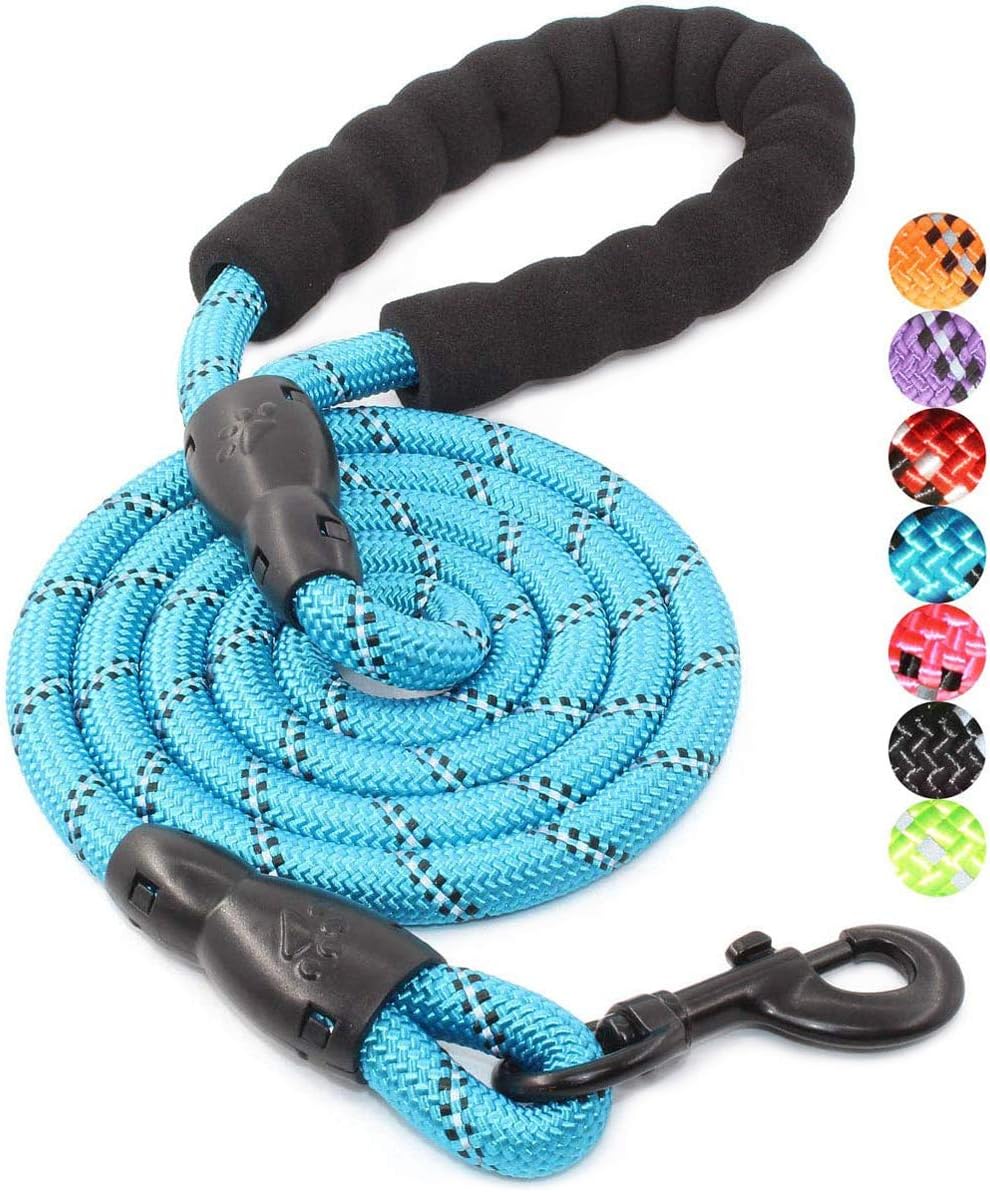 DS BS Reflective Rope Dog Leash 150cm-Blue