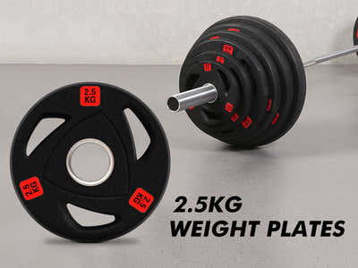 DS Rubber Weight Plates 2.5kg - Set of 4