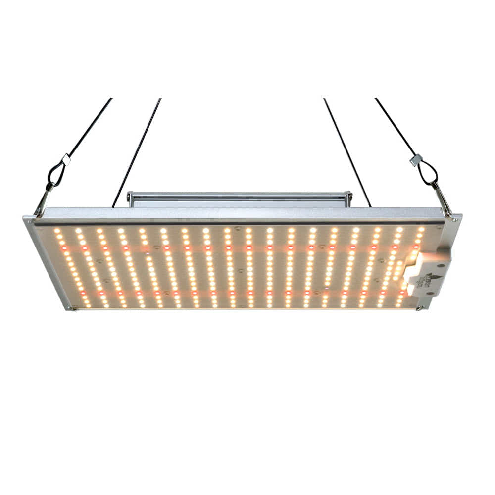 DS NA Max 1500W LED Grow Light Full Spectrum Indoor Veg Flower All Stage