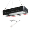 DS NA Greenfingers 1000W LED Grow Light Full Spectrum