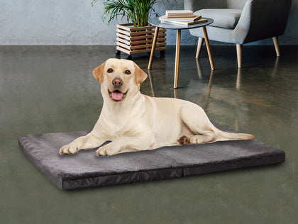 MemFoam Pet Bed D4 XLarge