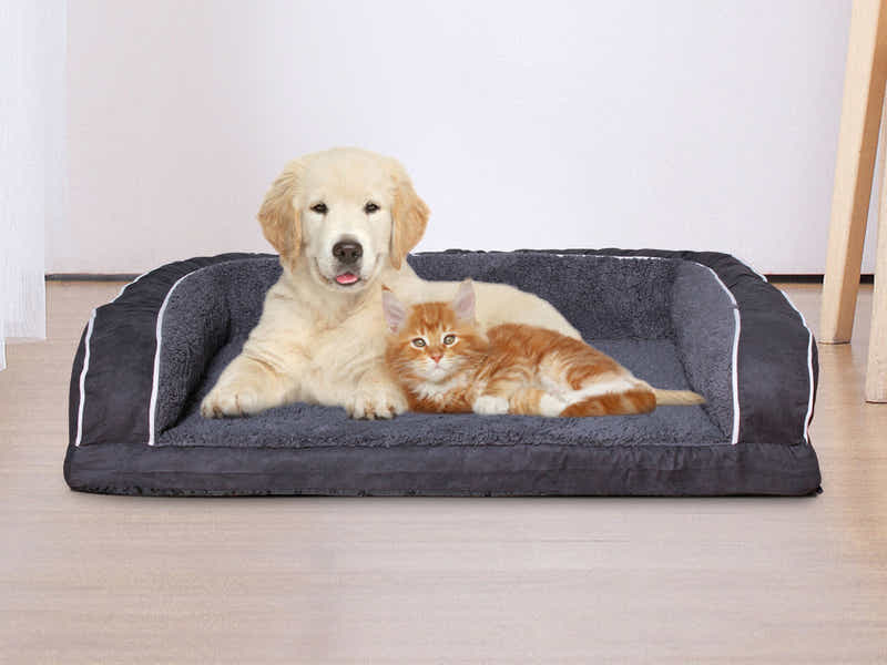 MemFoam Pet Bed F20 Large