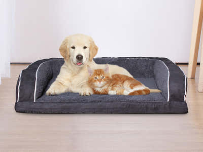 MemFoam Pet Bed F20 Large