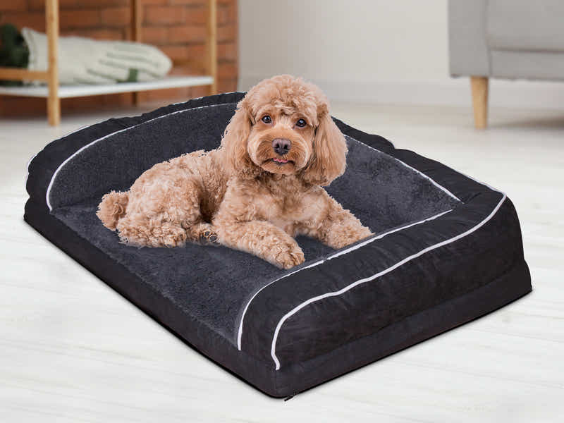 MemFoam Pet Bed F20 Large