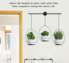 DS BS 3 Pot Wall Hanging Planters Kitchen Herb Rack-White