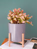 DS BS 3 Size Plant Pot Stand with Wood Rack