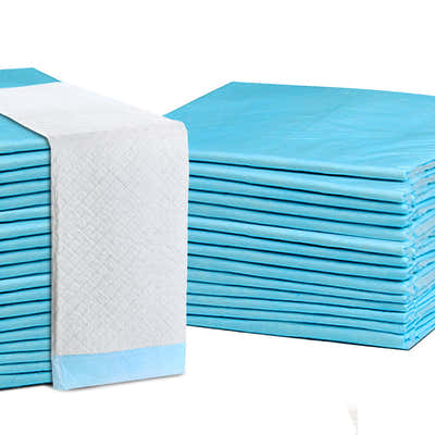 DS NA 200pcs Puppy Dog Pet Training Pads Super Absorbent Indoor Disposable