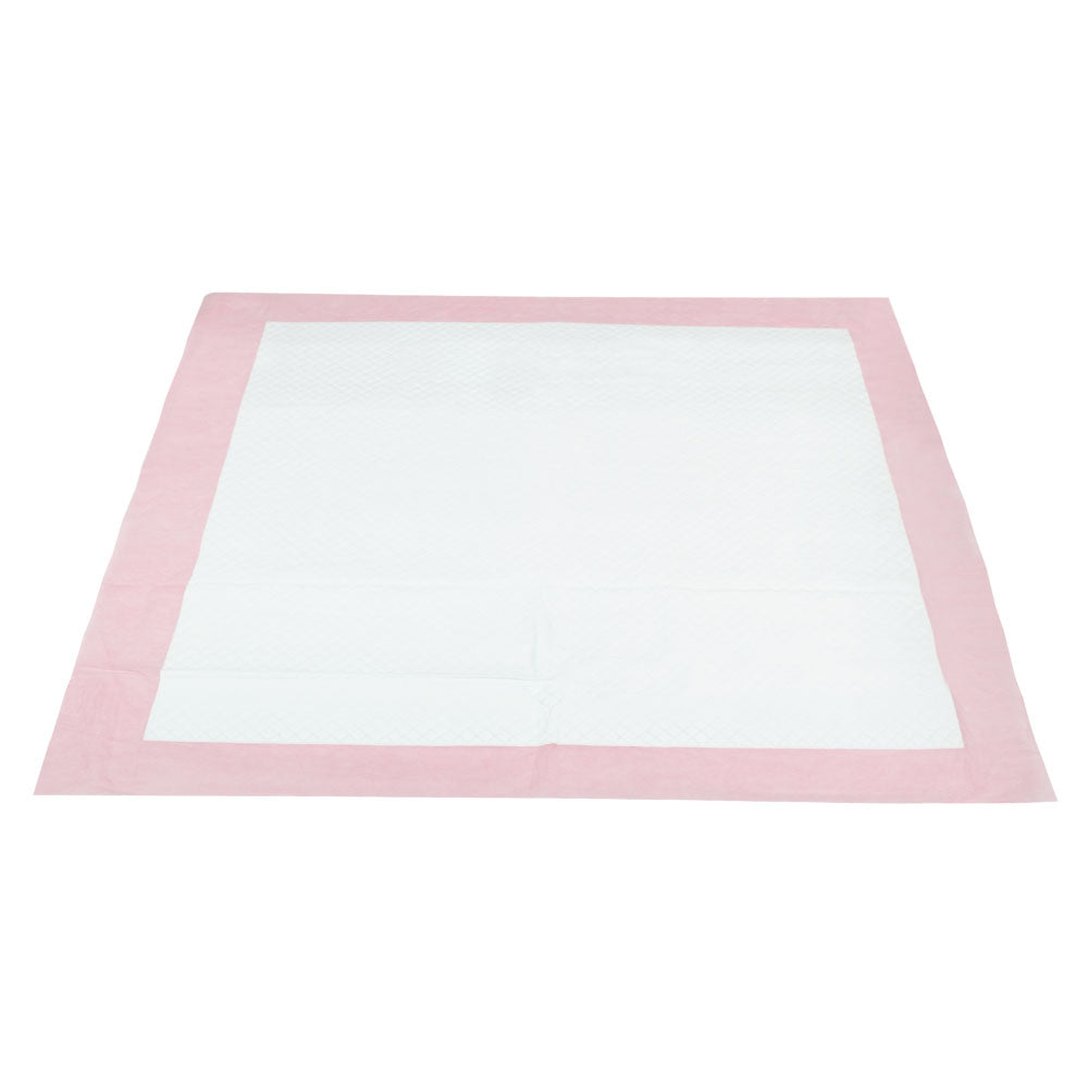 DS NA Pet Training Pads 200 Puppy Dog Cat Toilet Indoor 60x60cm Super Absorbent