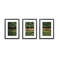DS NA 3 PCS Photo Frame Wall Set A3 Picture Home Decor Art Gift Present Black