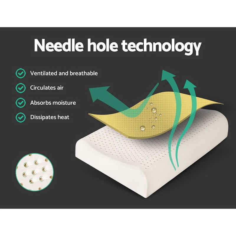 DS NA Giselle Latex Pillow Contour Latex Pillows Set of 2