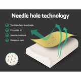 DS NA Giselle Latex Pillow Contour Latex Pillows Set of 2