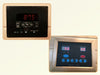 2 Person Sauna -Digital Player