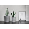 DS BS Modern Cement Gray Planter Box Cylindrical-25CM